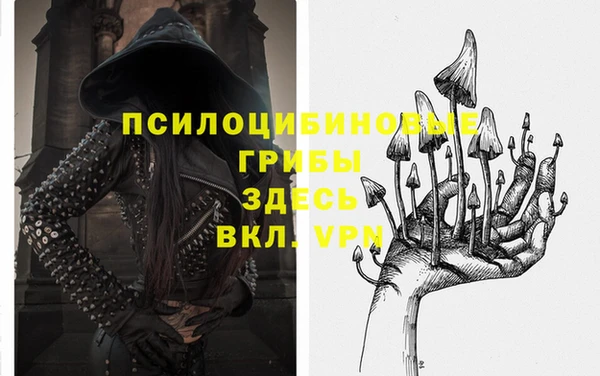 стаф Алексеевка